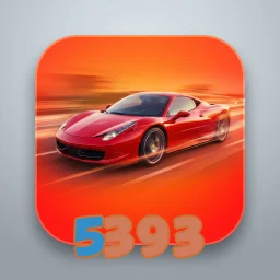 5393