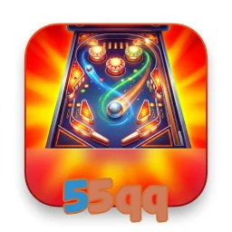 55qq